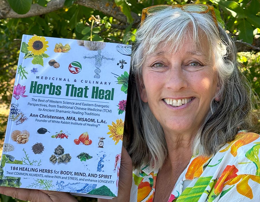 Medicinal and Culinary Herbs That Heal by Ann Christensen